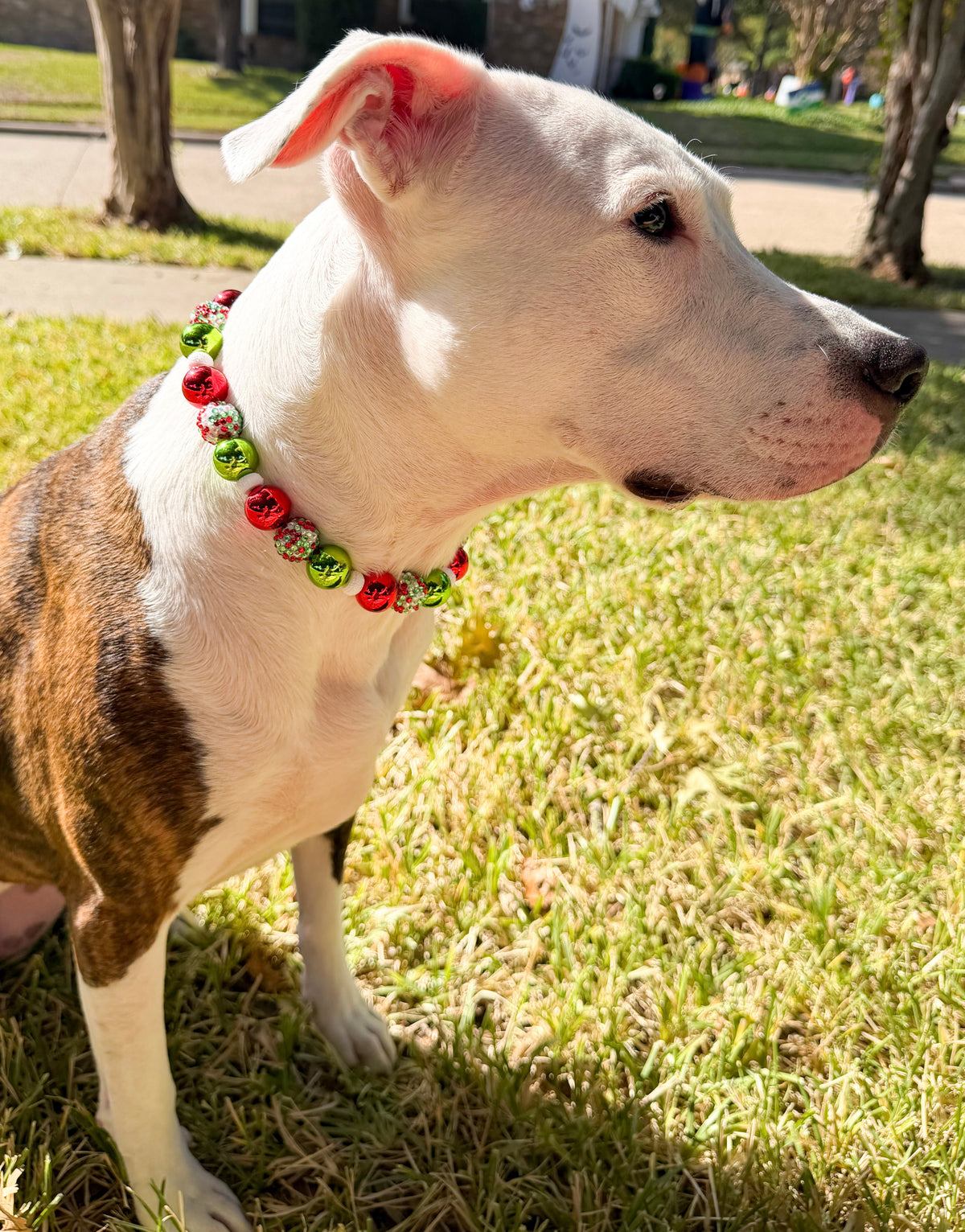 BAUBLE FRENZY BEADED COLLAR