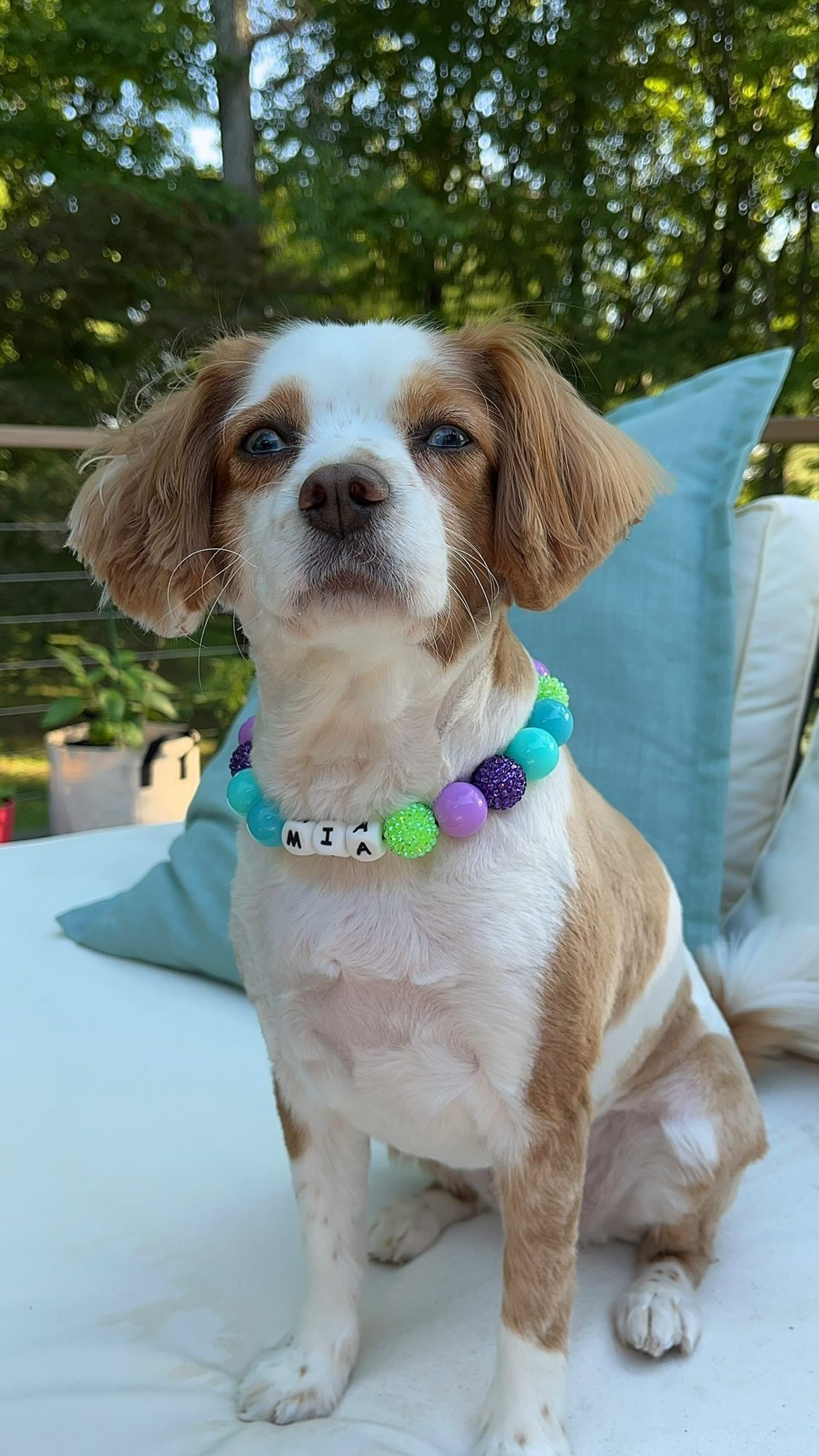TOXIC TAFFY BEADED COLLAR