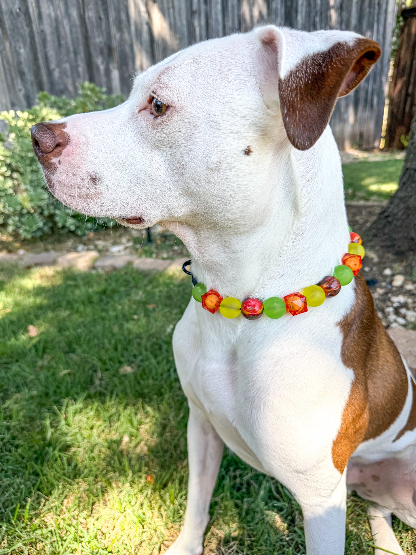 SOLAR FLARE BEADED COLLAR