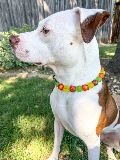 SOLAR FLARE BEADED COLLAR