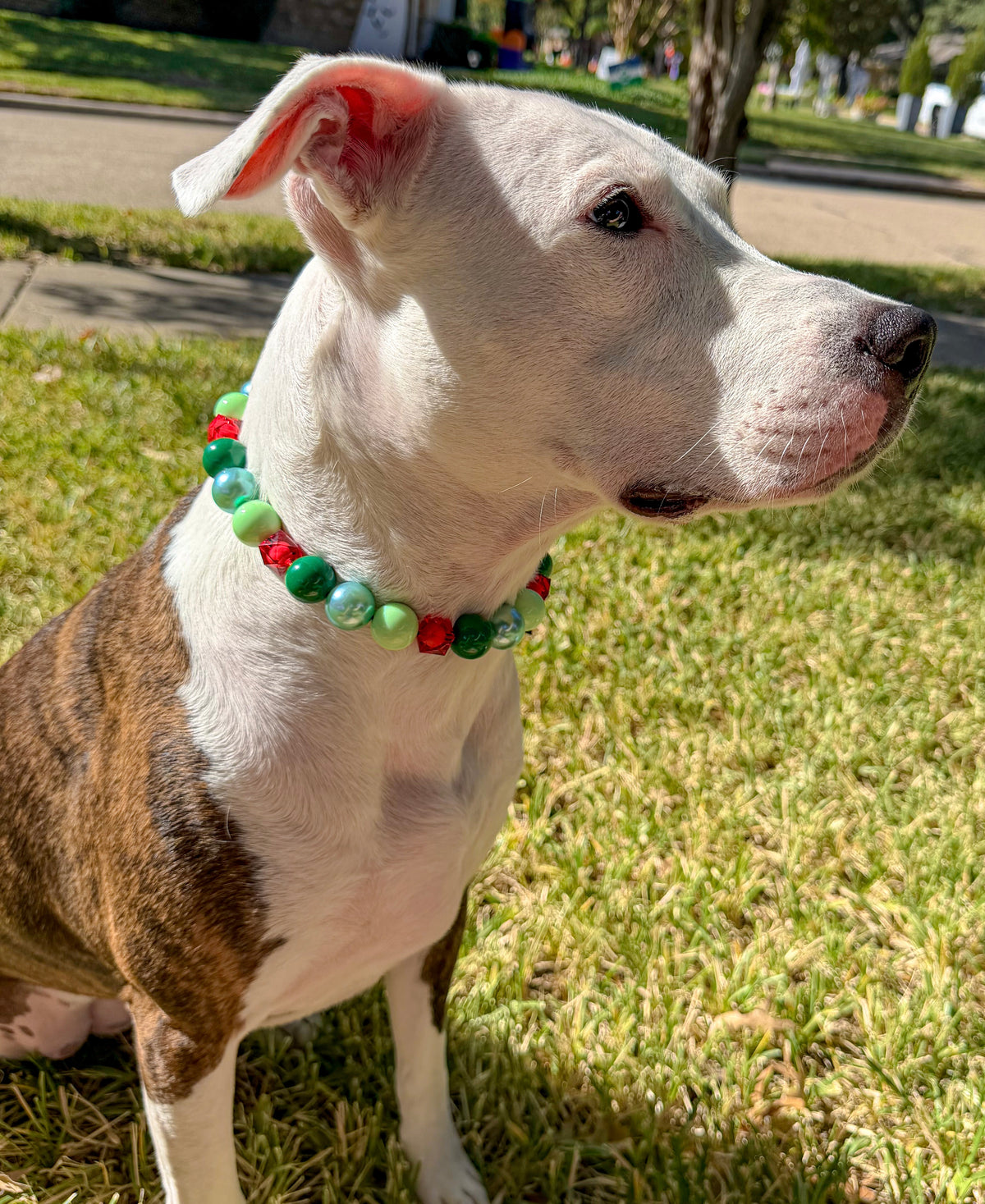 MISTLETOE + PEARLS BEADED COLLAR