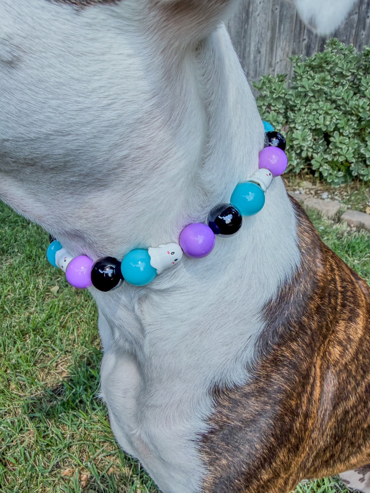 BOO THING BEADED COLLAR