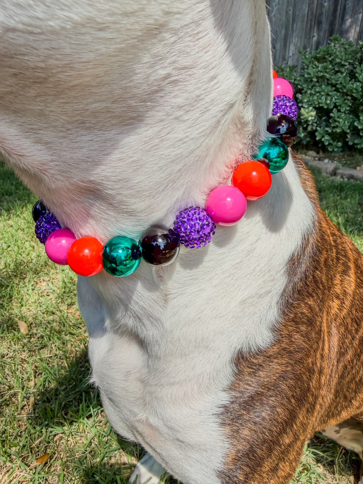COVEN CONFETTI BEADED COLLAR