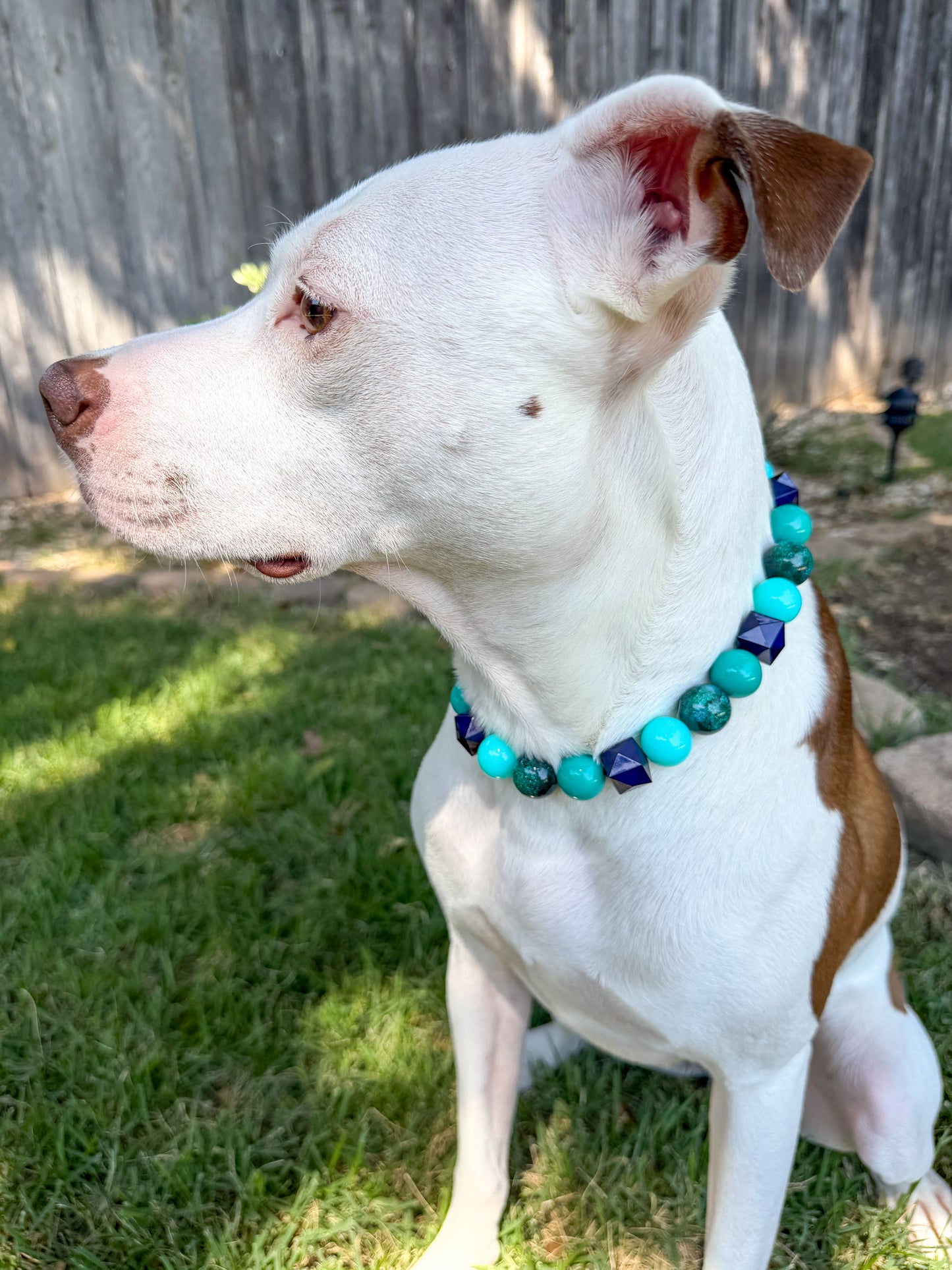 AQUA NOVA BEADED COLLAR