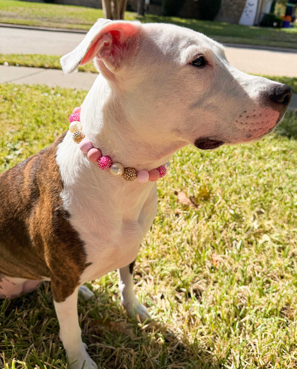 HOLIDAY BLUSH BEADED COLLAR