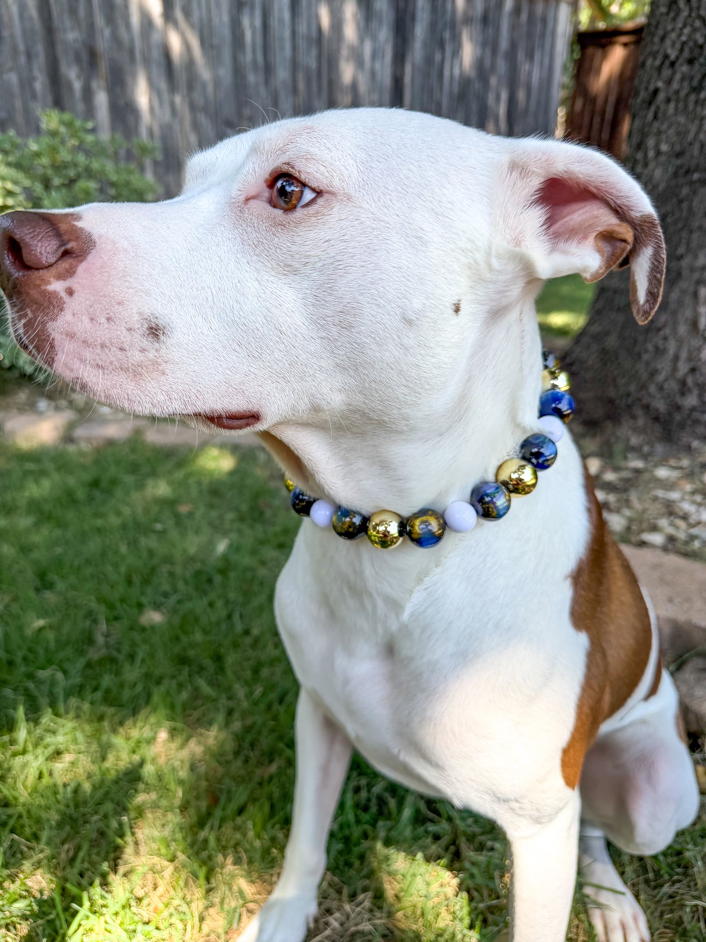 MIDNIGHT AURA BEADED COLLAR