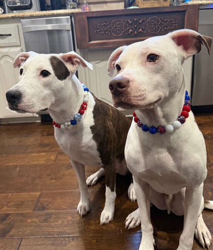 DAISY AMERICANA BEADED COLLAR