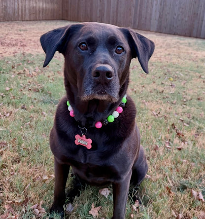 NEON REBOOT BEADED COLLAR