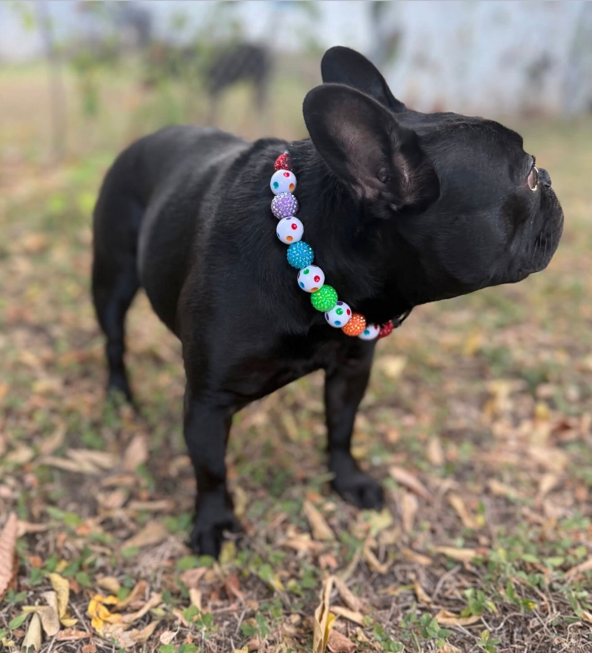 CIRCUS DRIP BEADED COLLAR