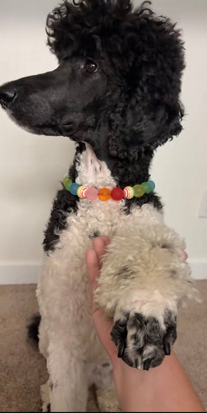 RAINBOW MIRAGE BEADED COLLAR