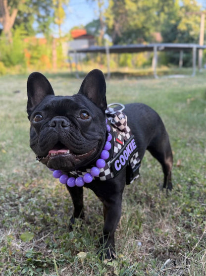 PURPLE BEADED COLLAR