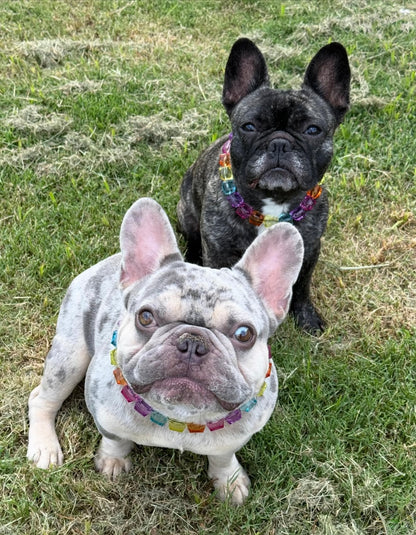 LOVE IN COLOR BEADED COLLAR