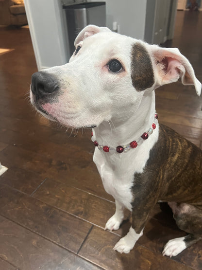 CANDY CANE PUP