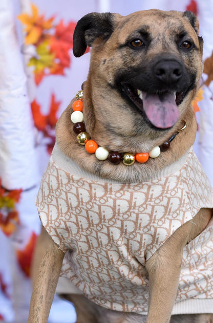 HARVEST HOUND BEADED COLLAR