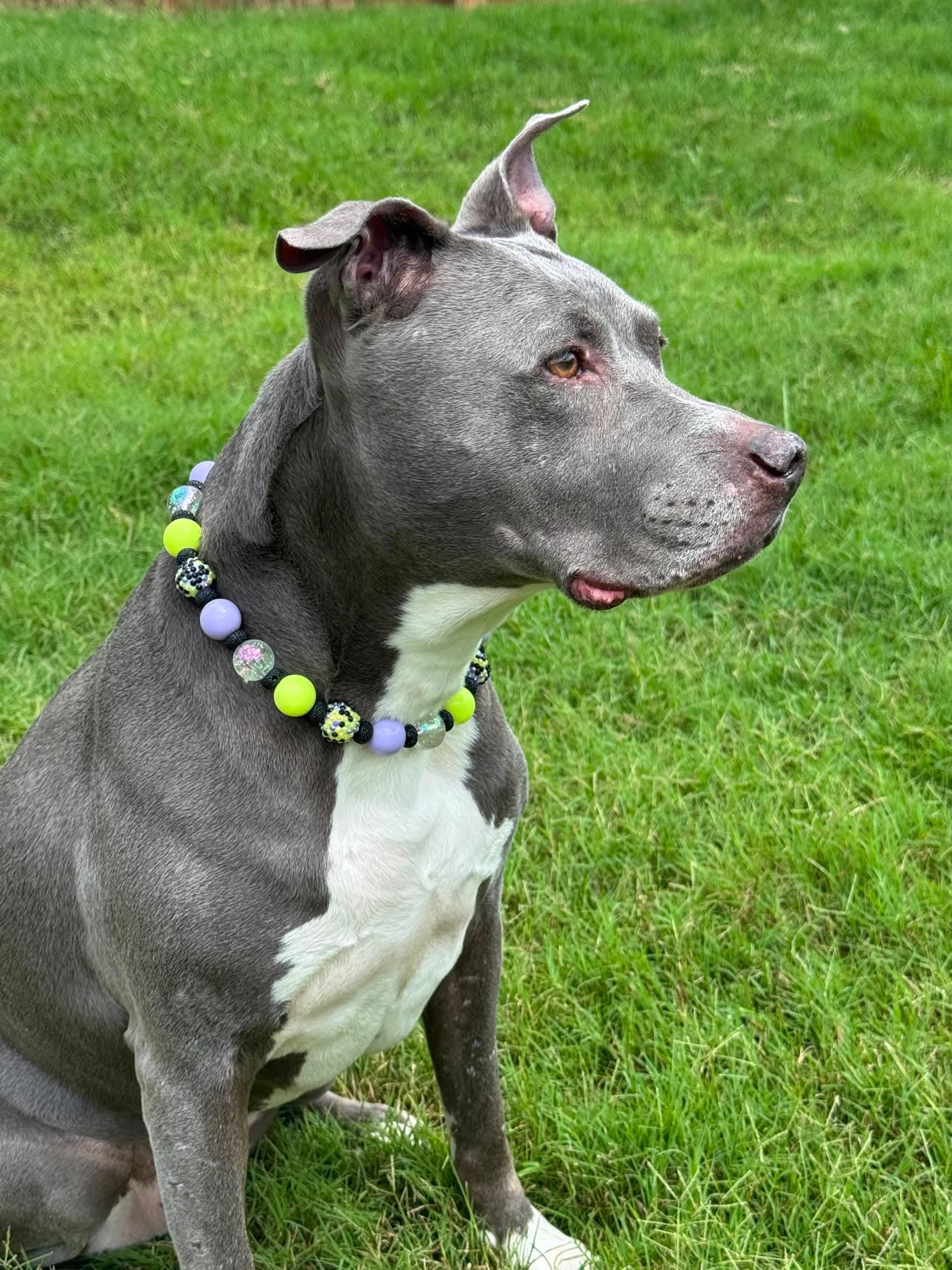 ELECTRIC PIXIE BEADED COLLAR