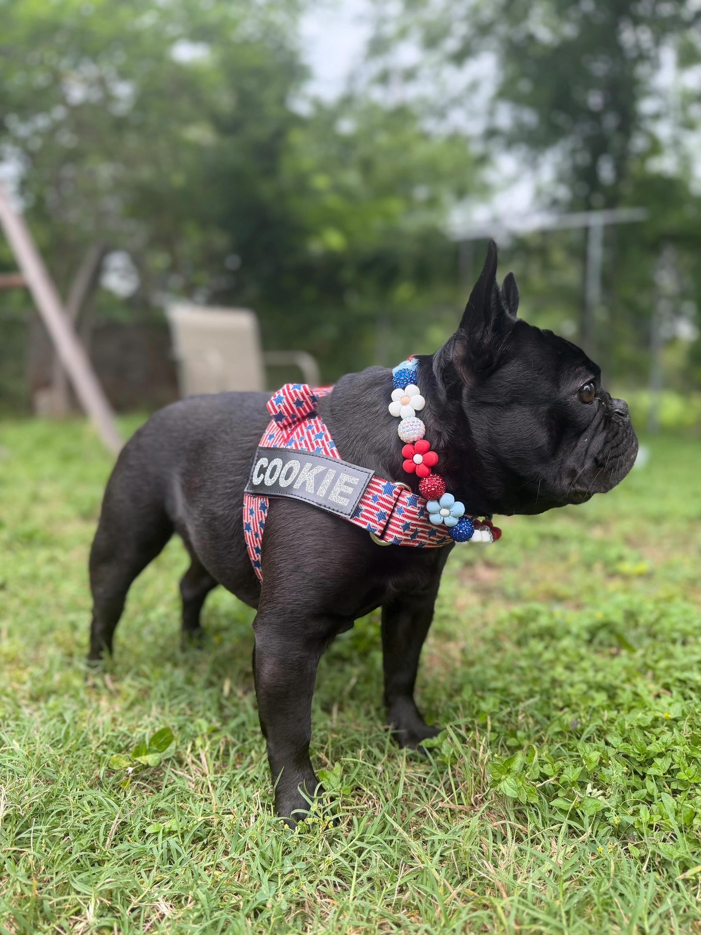 DAISY AMERICANA BEADED COLLAR