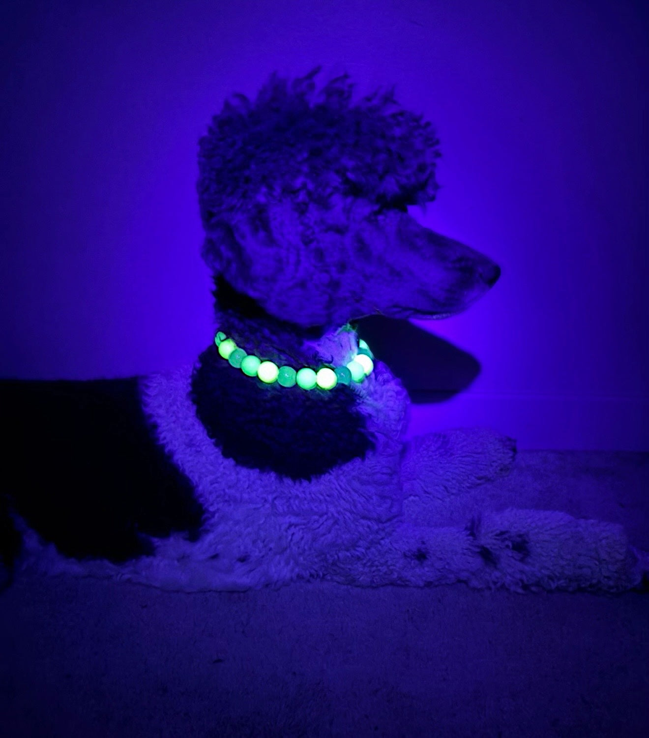 NEON AFTER DARK BEADED COLLAR