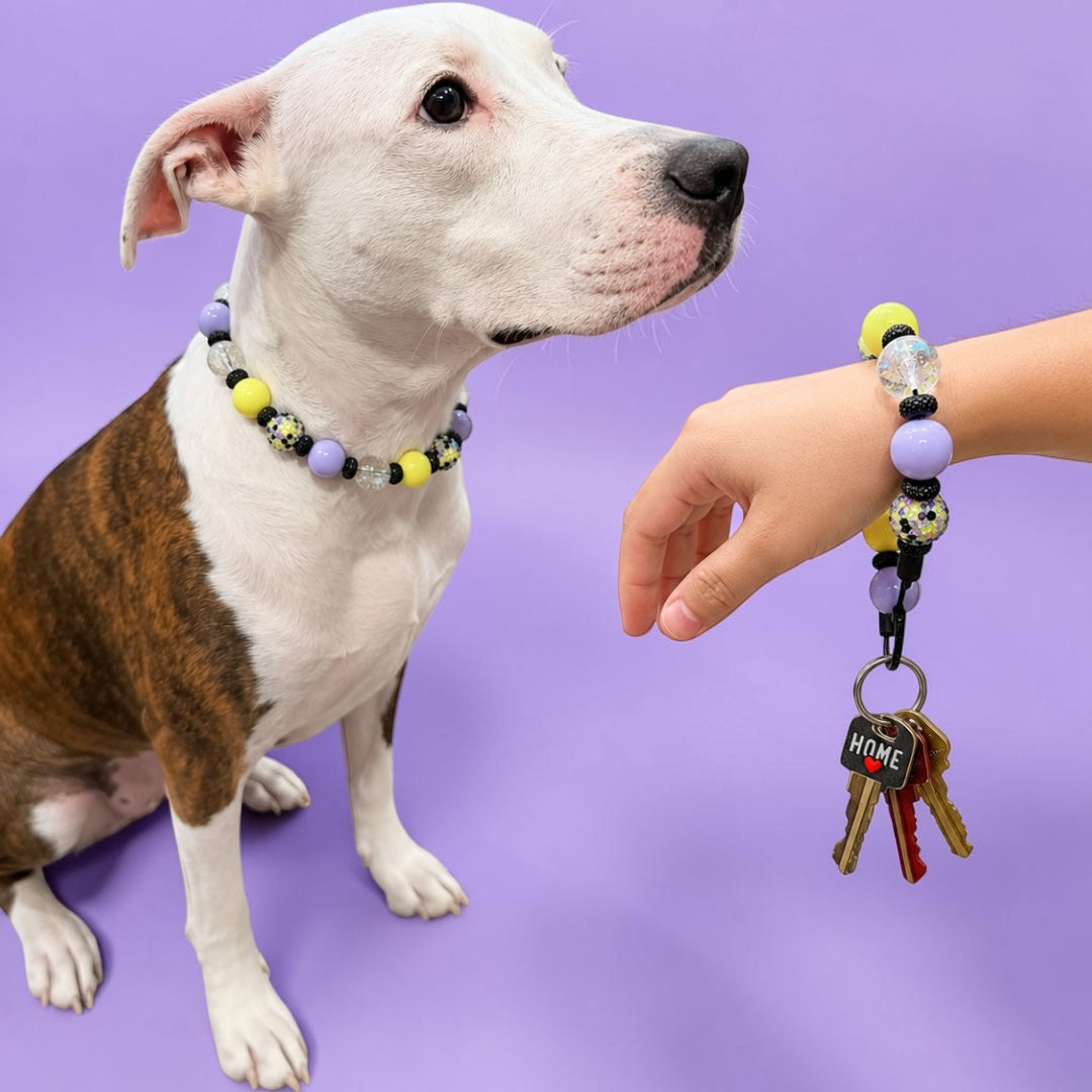 ELECTRIC PIXIE BEADED COLLAR