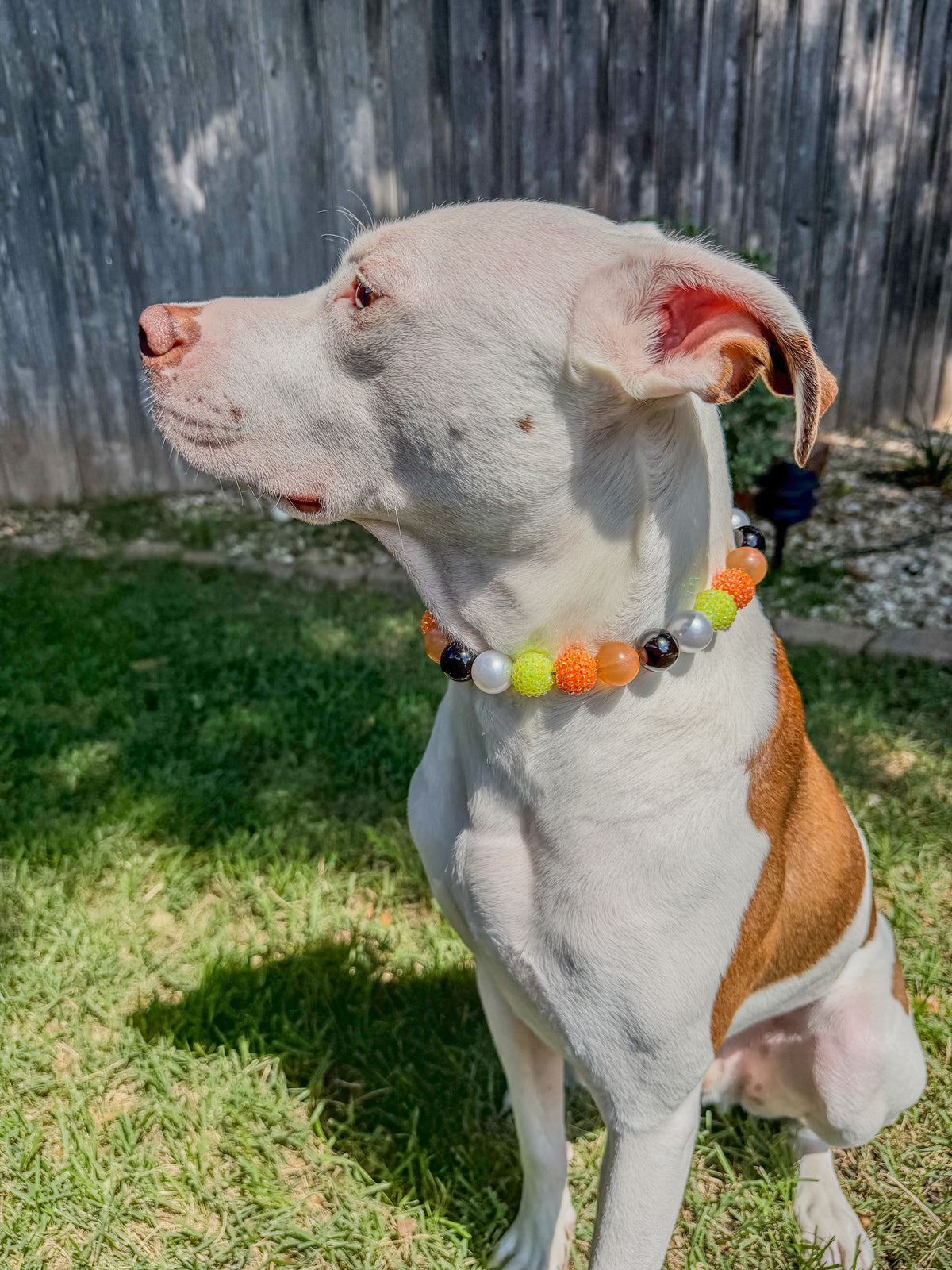 SPOOKY CHIC BEADED COLLAR